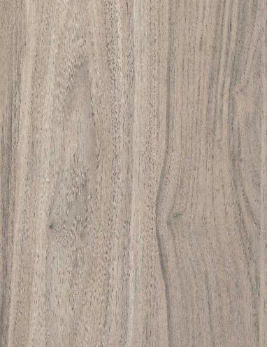 European Walnut